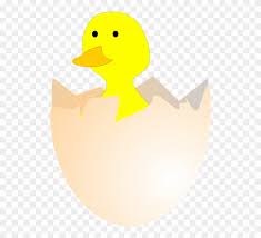 Apalagi memakai telur bebek, cita rasanya lebih khas dibanding semur telur ayam. Gambar Telur Bebek Menetas Clipart 1373396 Pinclipart