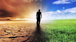 Image result for global warming photos