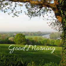 Cute Nature Good Morning Hd Tree Image Good Morning Nature Good Morning Images Good Morning Friends Images