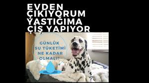 Ben Yokken Neden Yatagima Isiyor Youtube