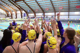 Under the hockey (or any other sport) pages you will be able to find the head coach's name. Lsu Head Swim Coach Dave Geyer Resigns
