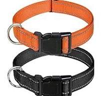 Amazon.com: PaiPaitek Collar antiladridos con control remoto ...