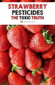 Strawberry Pesticides What You Don T Know Might Kill You Strawberry Organic Pesticide Organic Strawberry