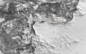 More cracked paint liz west flickr. Beige Peeling Paint Photo Blog Art Distress Wall Scrapbooking Photoshop Overlay Brown Peeling Paint Texture Texture Image Clip Art Clip Art Image Files Craft Supplies Tools Vadel Com