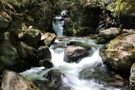 Borrowed from french ravin (a gully), from old french raviner (to pillage, sweep down, cascade), from ravine (robbery, rapine; Some Wise Advice Visit Sages Ravine In The Wilds Of Salisbury Chicago Tribune