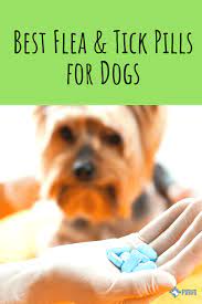 Best Flea Pills For Dogs 2019 Prescription Otc Oral Flea Medications Flea Meds For Dogs Meds For Dogs Flea Medication For Dogs