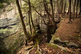 Enjoy trails to large rocks and along streams with rhododendron jungles that bloom in early july. Allegheny National Forest Hiking Trails Allegheny Outfitters