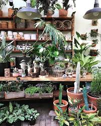 Did You Hear Were Hiring Check Out Our Story For Details Room With Plants House Plants Plants