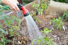 Maybe you would like to learn more about one of these? 5 Tips For Keeping Pests Out Of Your Garden