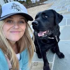 Labrador Lovers Share Adorable Photos and Celebrity Lookalikes