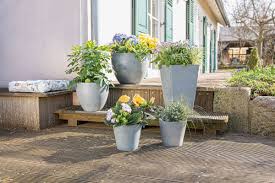 Ubertopf Light Grey Gross Im Frank Flechtwaren Und Deko Online Shop In 2020 Ubertopf Blumentopf Pflanzen