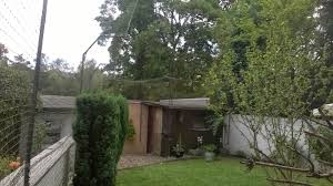 Katzennetz Nrw Die Adresse Fur Ein Katzennetz Garten Katzensicher Vernetzen Der Doppelte Uberkl Katzen Katzennetz