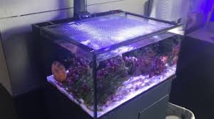 Check spelling or type a new query. Jumpguard Pro Diy Aquarium Cover D D The Aquarium Solution