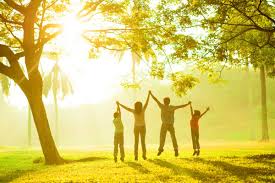 We are going to try and live the 2.5 tonne diet. Living A Healthy Lifestyle With Values Healthvalues