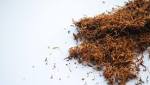  Arkansas Receives Failing Grade In Annual Tobacco Report