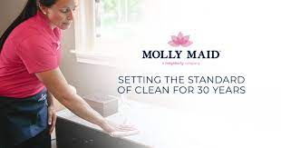 Bathroom Cleaning If You Folks Understand Myself You Will Understand That I Love To Amuse And Have Absolutely Peo Molly Maid Clean House Cleaning Hacks