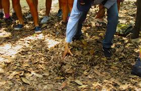 Good Morning Vietnam – The Củ Chi Tunnels – My Tremendous Travels