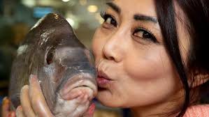 It's Friday fish fever