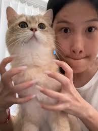 catsoftiktok #charliekitty #fluffybaby