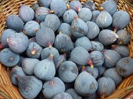 Comment Faire Secher Des Figues Au Soleil Ou Au Four Dans La Bulle De Manou Figues Figue Blanche Figue Seche