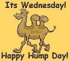 The best gifs for hump day camel. 60 Stuff To Buy Ideas Thursday Greetings Wednesday Hump Day Good Morning Good Night