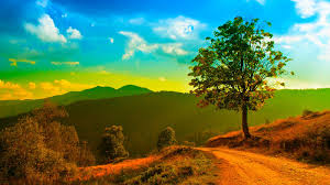 Find your perfect nature wallpaper for your phone, desktop, website and more! 50 1080p Nature Wallpapers Hd For Desktop 2020 We 7