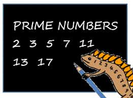 2, 3, 5, 7, 11, 13, 17, 19. What Is A Prime Number