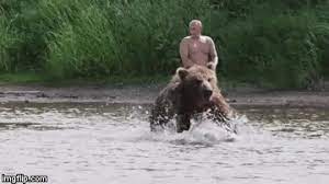 Putin Bear Gifs Tenor