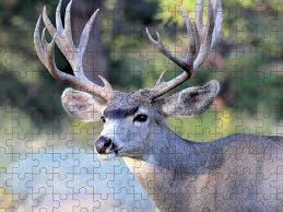 With all the time staying home, puzzle businesses are booming to revisit this article, visit my profile, thenview saved stories. 8x8 Puzzles Fine Art America