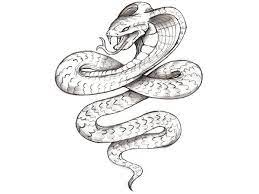 By dubuddha october 21, 2015. 79 Extremely Creative Tattoo Drawings To Try At Home Cobra Tattoo Tattoo Design Drawings Cool Tattoo Drawings