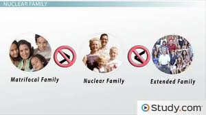 Family Systems Definition And Types Video Lesson Transcript Study Com Family ties mean that no matter how much you might want to run from family is forever. family systems definition and types video