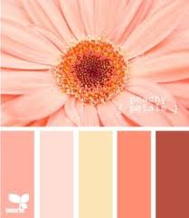 Melon And Pale Gray Color Schemes Color Pallets Color Combos