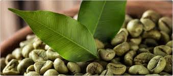 We are may produce and delivery unroasted coffee beans to this port (fob price): Buy Green Coffee Beans Wholesale Diabetic Diet Food List Diet Food List Green Coffee Bean
