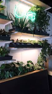 Grab a friend and treat yourselves 🍓🥑🫐