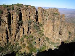 Image result for Litanthus pusillus