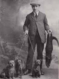 Terriers are not a breed of dog, but rather a group of closely related dog breeds. 590 Border Terrier Ideen In 2021 Borderterrier Hunde Border Terrier