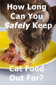How Long Can You Safely Keep Cat Food Out For Thecatsite Articles