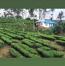 Resort offers a pool with ocean views and sunset! Knight Inn Resort Home Facebook