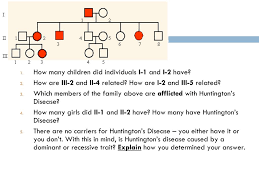 Genetics pedigree worksheet answer key huntington s disease collection #400287. Ppt Autosomal Pedigrees Powerpoint Presentation Free Download Id 3711301