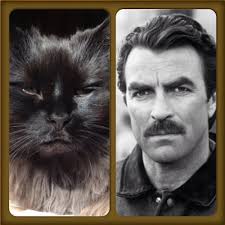 TOP 10 BEST House Call Veterinarian near Wayne, WV