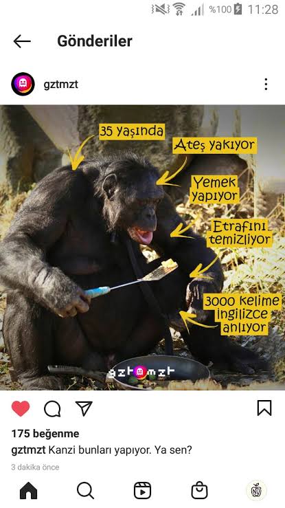 images