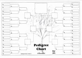 family tree template 5 generations unique 20 family tree