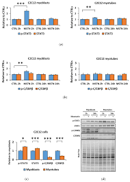 Art cache:87byrsbyhgyj:www infobiografias com/biografia/30046/keanu reeves html como se prepara la semilla de aguacate para abortar remedio cacero para quitar la teta pornodeinfantil mi bebé me tiene pelada el pico de la teta como se curar mi pico de la teta de forma natural testing%\' and 2*3*8=6*8. Biomolecules Free Full Text Differentiation Of Murine C2c12 Myoblasts Strongly Reduces The Effects Of Myostatin On Intracellular Signaling Html