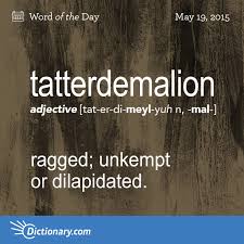 Tatterdemalion Word Of The Day Dictionary Com Weird Words Unusual Words Words