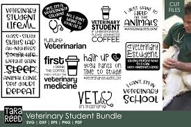 Download Veterinary Student Svg And Cut Files For Crafters 152823 Cut Files Design Bundles