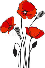 Easy Poppy Illustration Google Search Coquelicot Dessin Dessin Floral Dessin Fleur