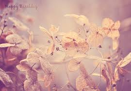 Vintage Winter Flowers Happy Birthday Photograph By Lee Anne Rafferty Evans 20+ beautiful happy birthday images with flowers and quotes. vintage winter flowers happy birthday by lee anne rafferty evans
