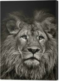 Tableaux Sur Toile Lions Pixers Nous Vivons Pour Changer Variante toiles seules = sans support | variante toiles sur châssis = supports cadrage en bois. tableaux sur toile lions pixers