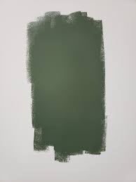 We did not find results for: Forestwood Green Boys Bedroom Paint Boys Bedroom Green Forest Green Paint