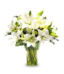 Taiwan Flowers Delivery Taiwan Online Florist Send Flowers Buy Cheap Fresh Flowers To Taiwan Wide Taiwan Ming Flowers